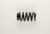 VW 8E0411105CL Coil Spring